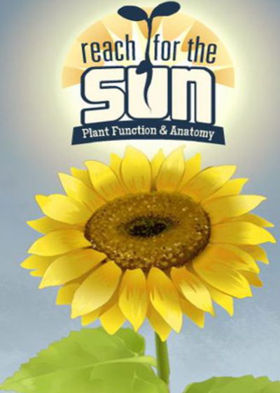 Profile picture of Reach for the Sun