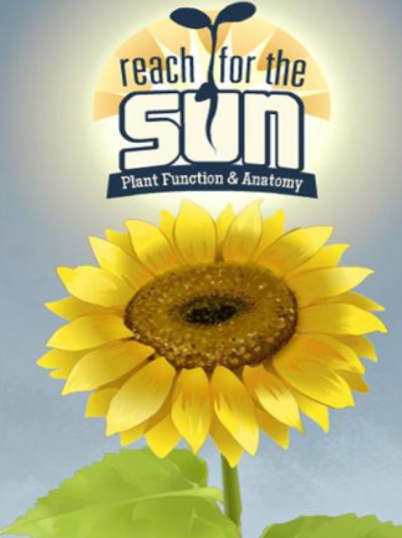Image of Reach for the Sun