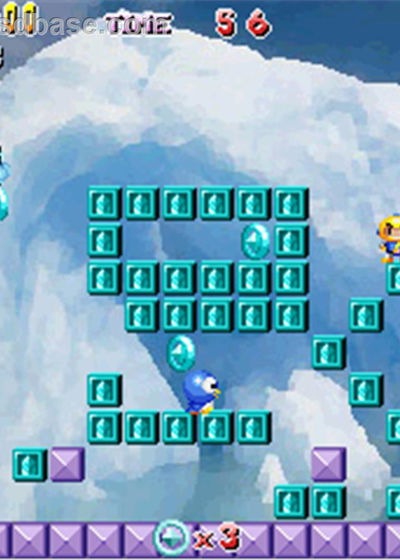 Profile picture of Tang Tang