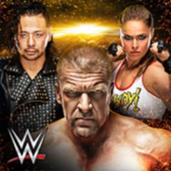 Image of WWE Universe