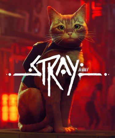 Image of Stray
