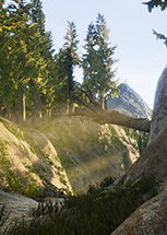 Profile picture of Treasure Hunter