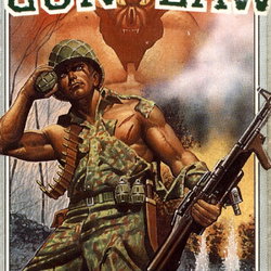 Image of Gun Law