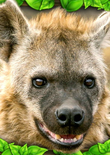 Profile picture of Hyena Simulator