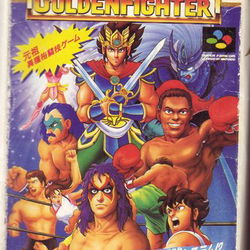 Image of Hiryu no Ken S: Golden Fighter