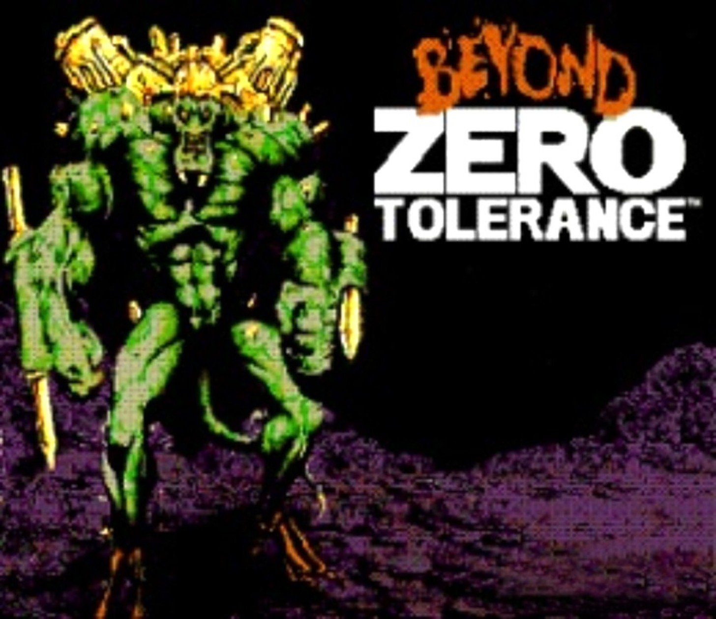 Image of Beyond Zero Tolerance