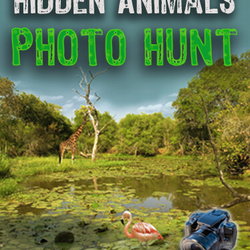 Image of Hidden Animals : Photo Hunt