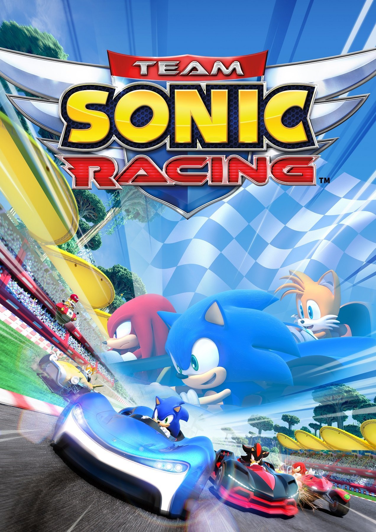 Image of Team Sonic Racing
