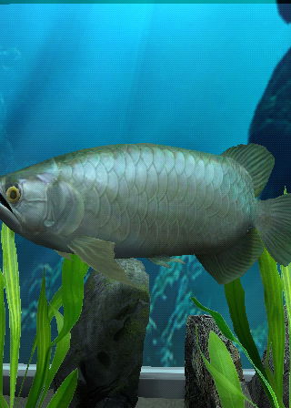 Profile picture of Megaquarium Profile picture of Megaquarium