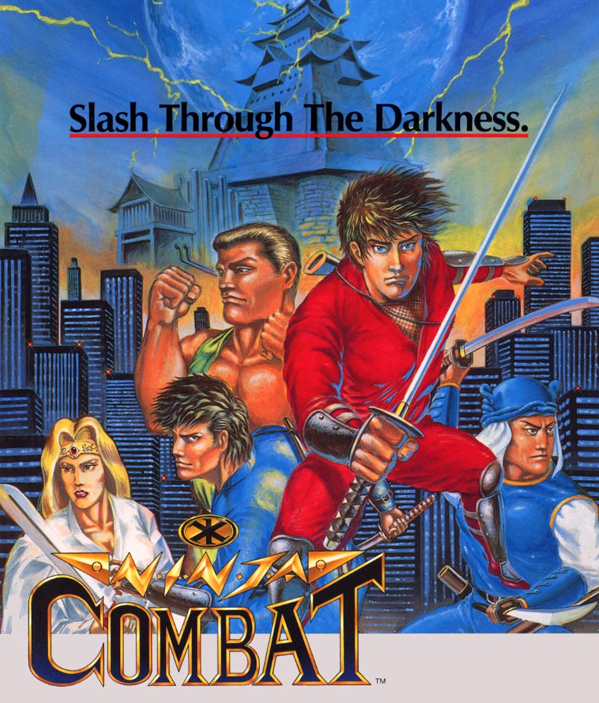 Image of Ninja Combat