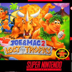 Image of Joe & Mac 2: Lost in the Tropics