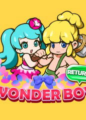 Profile picture of Wonder Boy Returns