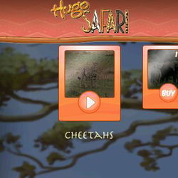 Image of Hugo Safari