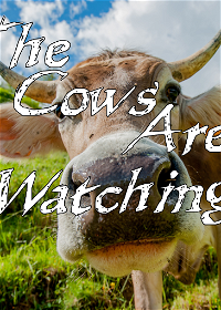 Profile picture of The Cows Are Watching