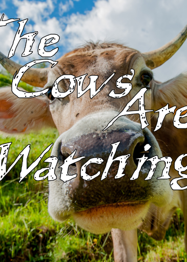 Profile picture of The Cows Are Watching