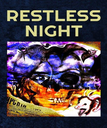 Image of Restless Night