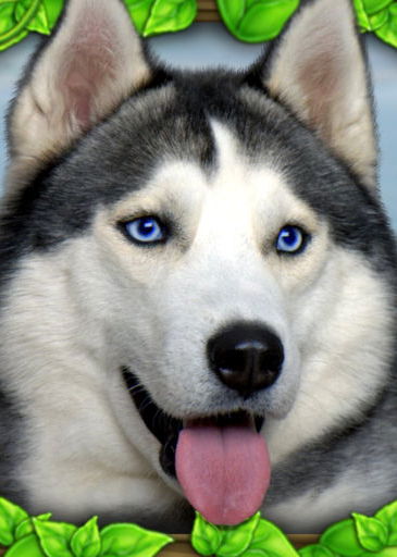 Profile picture of Stray Dog Simulator