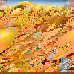 Image of Bonk's Adventure