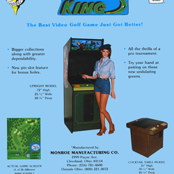 Image of Birdie King 3