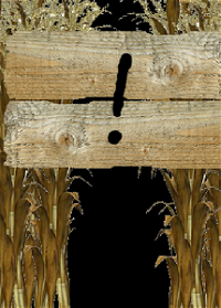Profile picture of Corn Maze