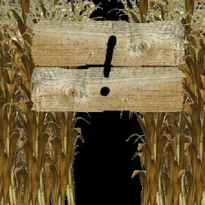 Image of Corn Maze