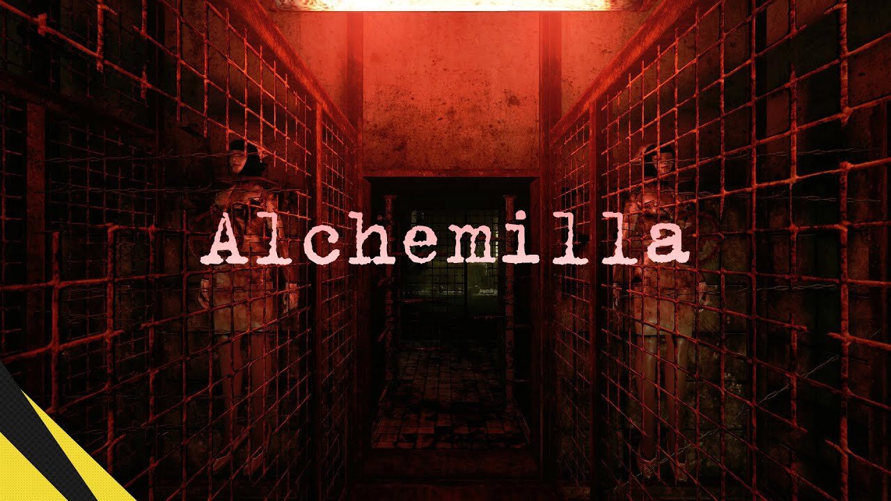 Image of Alchemilla