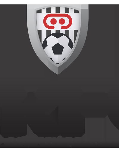 Profile picture of VRFC Virtual Reality Football Club