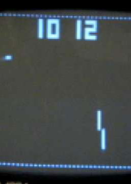 Profile picture of Squash