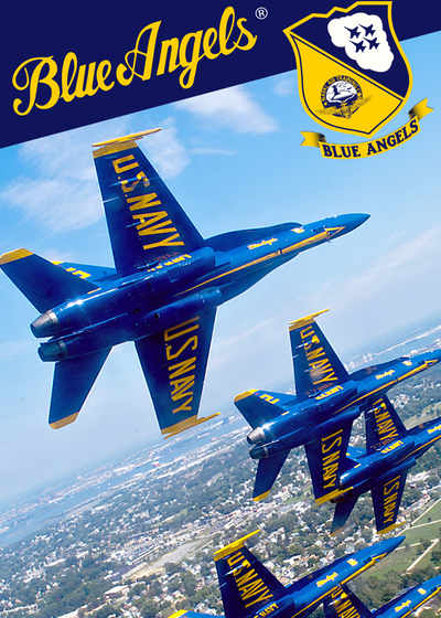 Profile picture of Blue Angels Aerobatic Flight Simulator
