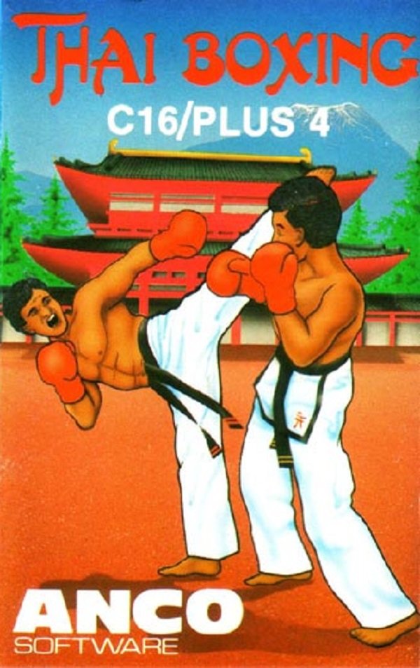 Image of Thai Boxing
