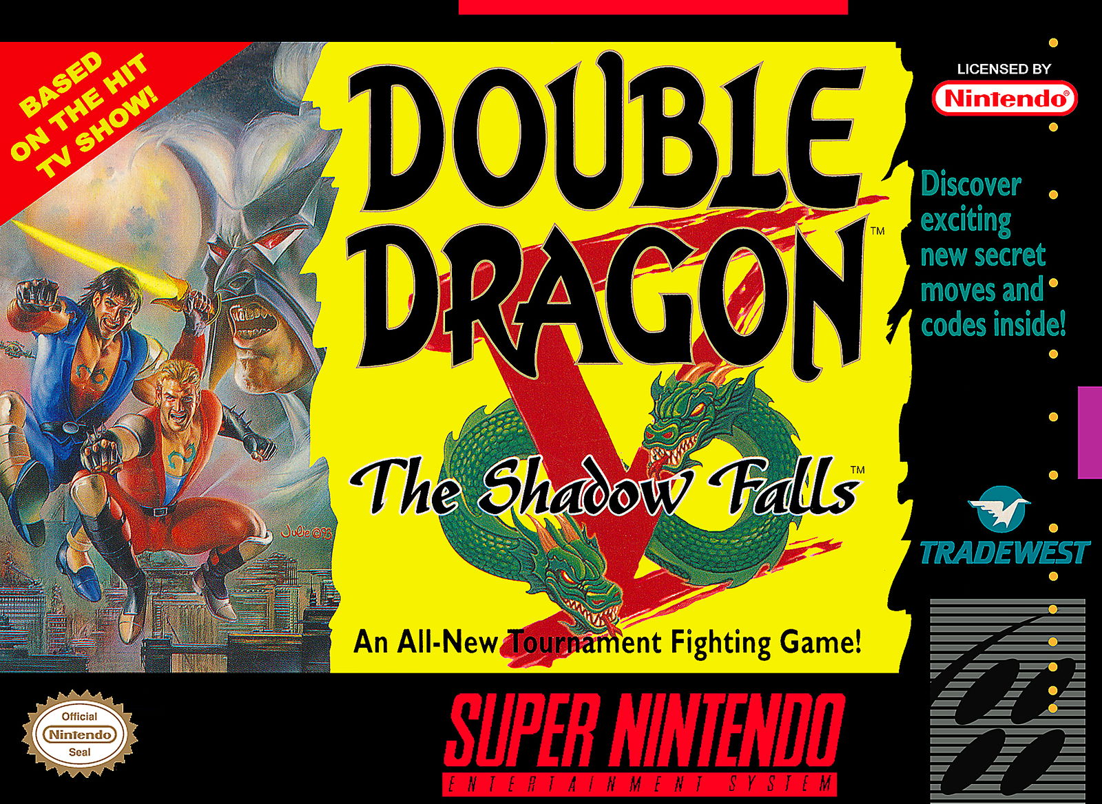 Image of Double Dragon V: The Shadow Falls