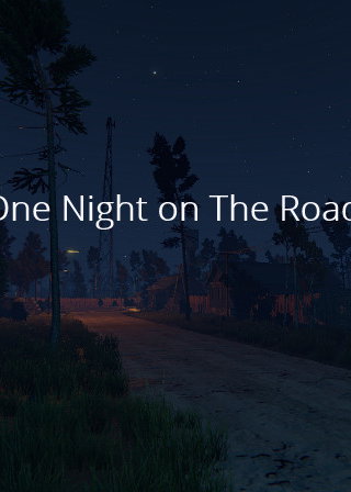Profile picture of One Night On The Road