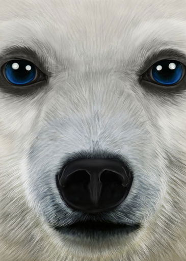Profile picture of Ultimate Arctic Simulator