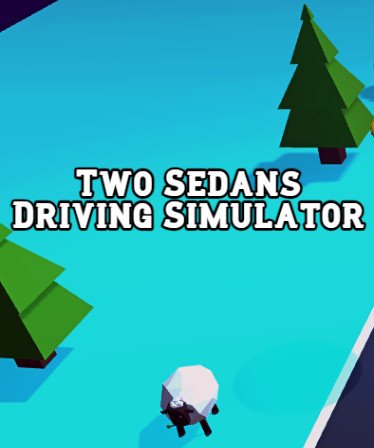 Image of Two Sedans Driving Simulator