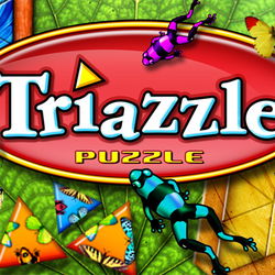 Image of Living Puzzles: Triazzle Image of Living Puzzles: Triazzle