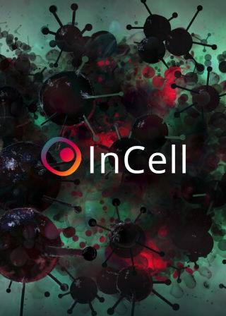 Profile picture of InCell VR Profile picture of InCell VR