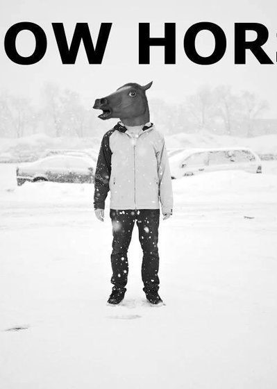 Profile picture of Snow Horse