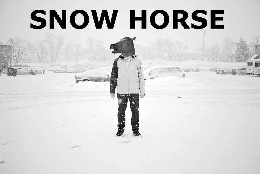 Image of Snow Horse