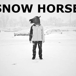 Image of Snow Horse