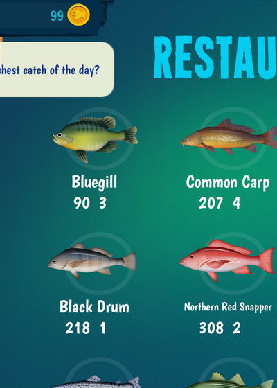 Profile picture of Fish For Reel