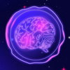 Image of Brain Seal